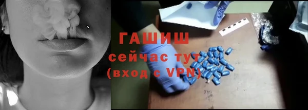 индика Беломорск