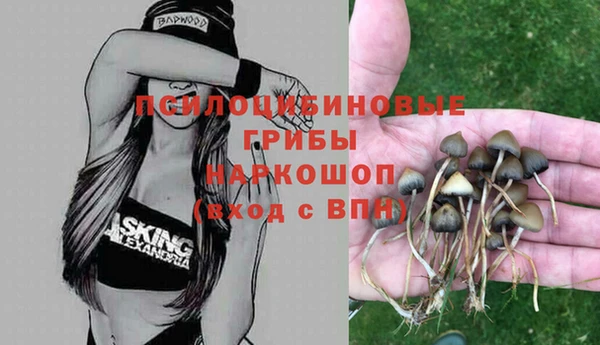 Альфа ПВП Балабаново
